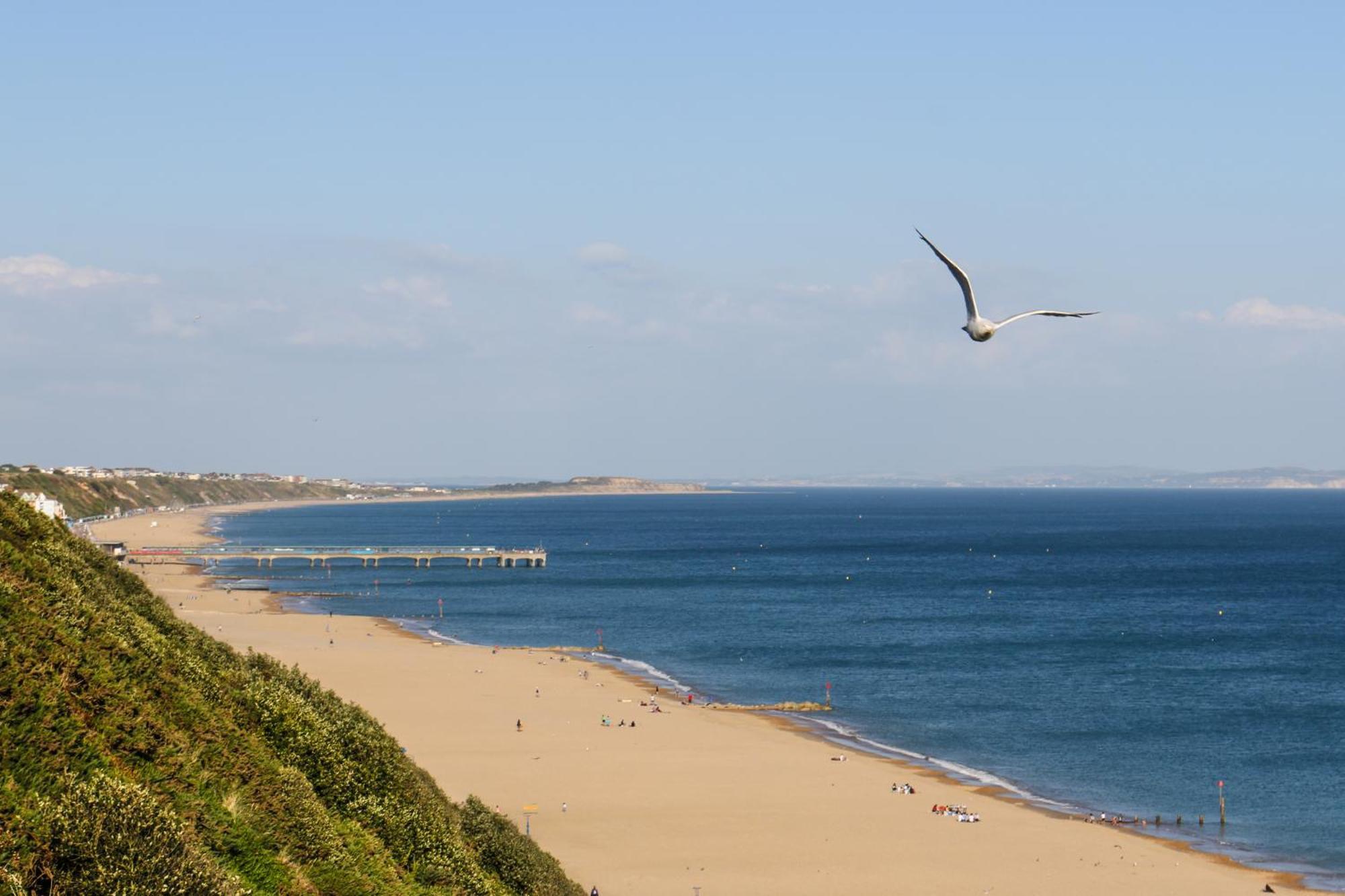 Modern Town Centre Flat - Free Shared Parking, King Size Bed, 5 Minutes Walk To Beach ボーンマス エクステリア 写真